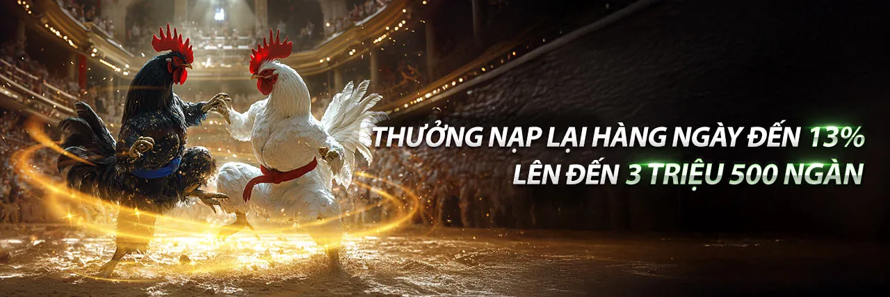 Hình ảnh giới thiệu heloo88, nền tảng giải trí trực tuyến hàng đầu